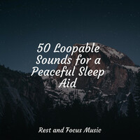 Thumbnail for the Ambient Music Therapy - 50 Loopable Sounds for a Peaceful Sleep Aid link, provided by host site