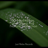 Thumbnail for the Yoga - 50 Meditation and Sleep Aid Nature Collection link, provided by host site