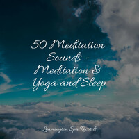 Thumbnail for the Yoga Soul - 50 Meditation Sounds - Meditation & Yoga and Sleep link, provided by host site