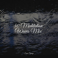 Thumbnail for the Massage - 50 Meditation Waves Mix link, provided by host site