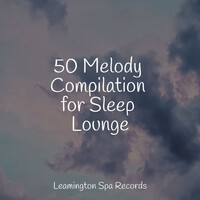 Thumbnail for the Echoes Of Nature - 50 Melody Compilation for Sleep Lounge link, provided by host site