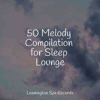 Thumbnail for the Echoes Of Nature - 50 Melody Compilation for Sleep Lounge link, provided by host site