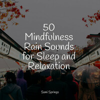 Thumbnail for the Binaural Beats Brainwave Entrainment - 50 Mindfulness Rain Sounds for Sleep and Relaxation link, provided by host site