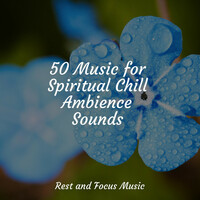 Thumbnail for the Relaxing Spa Music - 50 Music for Spiritual Chill Ambience Sounds link, provided by host site