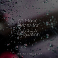 Thumbnail for the Asian Zen Spa Music Meditation - 50 Music Pieces for Absolute Relaxation link, provided by host site