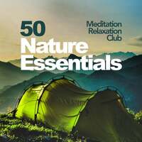 Image of Meditation Relaxation Club linking to their artist page due to link from them being at the top of the main table on this page