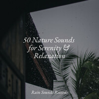 Thumbnail for the Yoga - 50 Nature Sounds for Serenity & Relaxation link, provided by host site