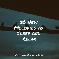 Thumbnail for the White Noise Sleep Sounds - 50 New Melodies to Sleep and Relax link, provided by host site