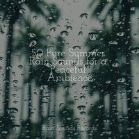 Thumbnail for the Meditation Spa - 50 Pure Summer Rain Sounds for a Peaceful Ambience link, provided by host site