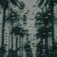 Thumbnail for the Meditation Spa - 50 Pure Summer Rain Sounds for a Peaceful Ambience link, provided by host site