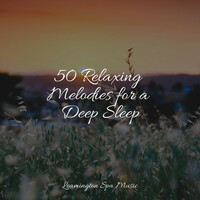 Thumbnail for the Pink Noise - 50 Relaxing Melodies for a Deep Sleep link, provided by host site