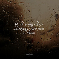 Thumbnail for the Sounds of Nature Relaxation - 50 Relaxing Rain Droplet Tracks from Nature link, provided by host site
