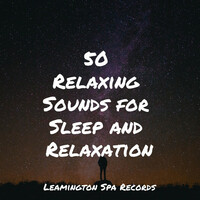 Thumbnail for the Study Zone - 50 Relaxing Sounds for Sleep and Relaxation link, provided by host site