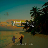 Thumbnail for the Yoga - 50 Relaxing Zen Therapy Songs link, provided by host site