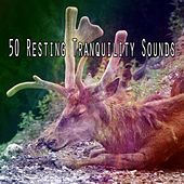 Thumbnail for the The Rest - 50 Resting Tranquility Sounds link, provided by host site