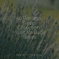 Thumbnail for the Ambient Music Therapy - 50 Restless Sleep Collection: Music for Baby Sleep link, provided by host site