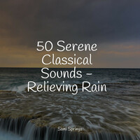 Thumbnail for the Massage Therapy Music - 50 Serene Classical Sounds - Relieving Rain link, provided by host site