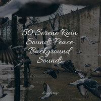 Thumbnail for the Meditation Music Club - 50 Serene Rain Sounds Peace Background Sounds link, provided by host site