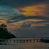 Thumbnail for the Meditation Spa - 50 Serene Songs for Chilling Out and Meditation link, provided by host site