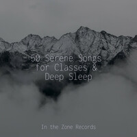 Thumbnail for the Meditation Spa - 50 Serene Songs for Classes & Deep Sleep link, provided by host site