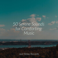 Thumbnail for the Meditation Spa - 50 Serene Sounds for Comforting Music link, provided by host site