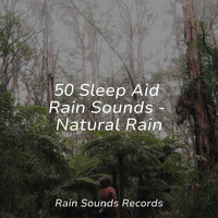 Thumbnail for the Yoga - 50 Sleep Aid Rain Sounds - Natural Rain link, provided by host site