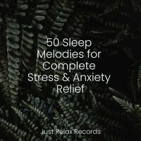 Thumbnail for the Meditation Spa - 50 Sleep Melodies for Complete Stress & Anxiety Relief link, provided by host site