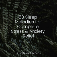 Thumbnail for the Meditation Spa - 50 Sleep Melodies for Complete Stress & Anxiety Relief link, provided by host site