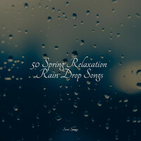Thumbnail for the Music For Absolute Sleep - 50 Sleep Rain Sounds link, provided by host site