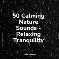 Thumbnail for the Meditation Spa - 50 Sleep Sounds of Rain link, provided by host site