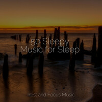 Thumbnail for the Echoes Of Nature - 50 Sleepy Music for Sleep link, provided by host site
