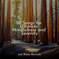 Thumbnail for the Meditation Spa - 50 Songs for Ultimate Mindfulness and Serenity link, provided by host site