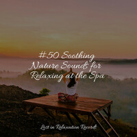 Thumbnail for the Meditation Spa - #50 Soothing Nature Sounds for Relaxing at the Spa link, provided by host site
