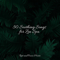 Thumbnail for the Pink Noise - 50 Soothing Songs for Zen Spa link, provided by host site