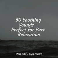Thumbnail for the Baby Sweet Dream - 50 Soothing Sounds - Perfect for Pure Relaxation link, provided by host site