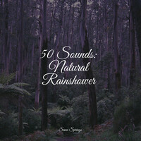 Thumbnail for the Study Zone - 50 Sounds: Natural Rainshower link, provided by host site