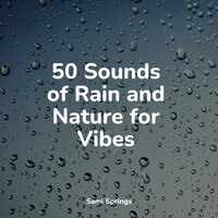 Thumbnail for the Regen - 50 Sounds of Rain and Nature for Vibes link, provided by host site