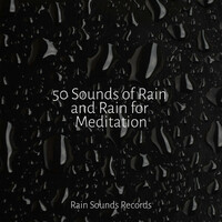 Thumbnail for the Meditation Spa - 50 Sounds of Rain and Rain for Meditation link, provided by host site