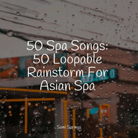Thumbnail for the Massage Therapy Music - 50 Spa Songs: 50 Loopable Rainstorm For Asian Spa link, provided by host site