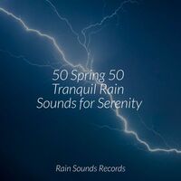 Thumbnail for the Meditation Spa - 50 Spring 50 Tranquil Rain Sounds for Serenity link, provided by host site