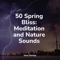 Thumbnail for the Regen - 50 Spring Bliss: Meditation and Nature Sounds link, provided by host site