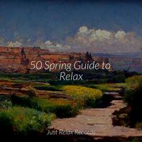 Thumbnail for the Meditation Spa - 50 Spring Guide to Relax link, provided by host site