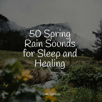 Thumbnail for the Ambient Music Therapy - 50 Spring Rain Sounds for Sleep and Healing link, provided by host site
