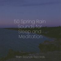Thumbnail for the Meditation Spa - 50 Spring Rain Sounds for Sleep and Meditation link, provided by host site