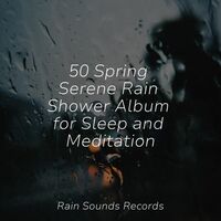 Thumbnail for the Meditation Spa - 50 Spring Serene Rain Shower Album for Sleep and Meditation link, provided by host site