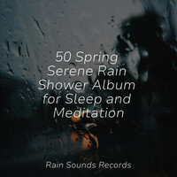 Thumbnail for the Meditation Spa - 50 Spring Serene Rain Shower Album for Sleep and Meditation link, provided by host site