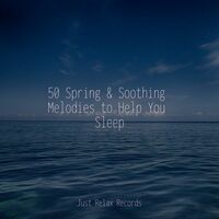Thumbnail for the Meditation Spa - 50 Spring & Soothing Melodies to Help You Sleep link, provided by host site