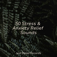 Thumbnail for the Meditation Spa - 50 Stress & Anxiety Relief Sounds link, provided by host site