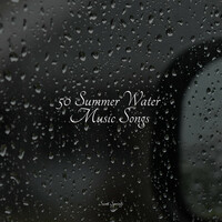 Thumbnail for the Rain - 50 Summer Water Music Songs link, provided by host site