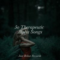 Thumbnail for the Meditation Spa - 50 Therapeutic Alpha Songs link, provided by host site